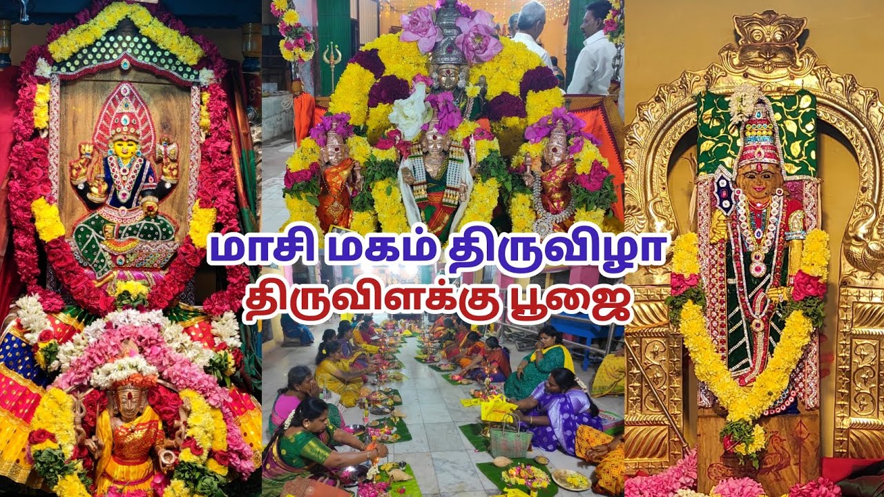 சேலம் அம்மாபேட்டை சித்தேஸ்வரா அருள்மிகு காளியம்மன் மாசி மகம் திருவிழா திருவிளக்கு பூஜை 