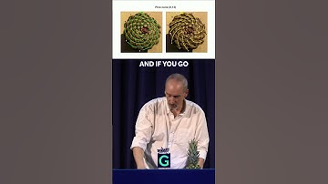 Ananasspiralen onthullen de geheime code van de natuur #planten #wiskunde #fibonacci #guldenverho...