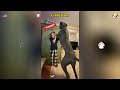 Funny great Dane#dog#funny #greatdane #fyp