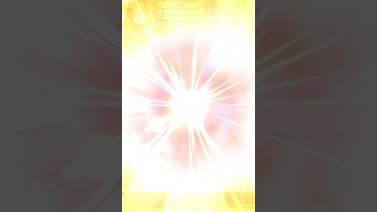 GUYS!!NEW Ninja Camilla counter