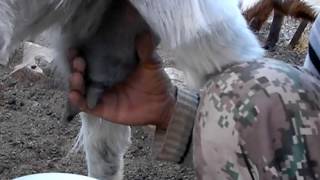 SANY0254.MP4