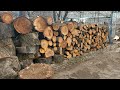 Бензопила для дров Днипро м cs 42 мощь и сила