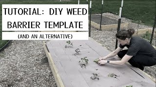 Tutorial: DIY Weed Paper Planting Templates (paper mulch)