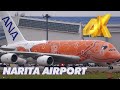 [4K] お待たせしました! ホヌ3号機が成田空港に到着! ANA A380 FLYING HONU