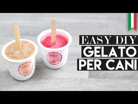 GELATO PER CANI DIY | RICETTA