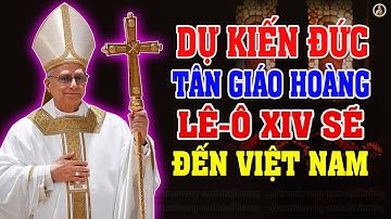 Đức Tân Giáo Hoàng Lê-ô XIV Thăm Việt Nam  - Tiếp Nối Ước Nguyện Đức Thánh Cha Phanxicô