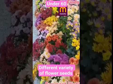 different variety of flower seeds #meesho #ytshorts # #meeshoparorderkaisekare #shortsviral