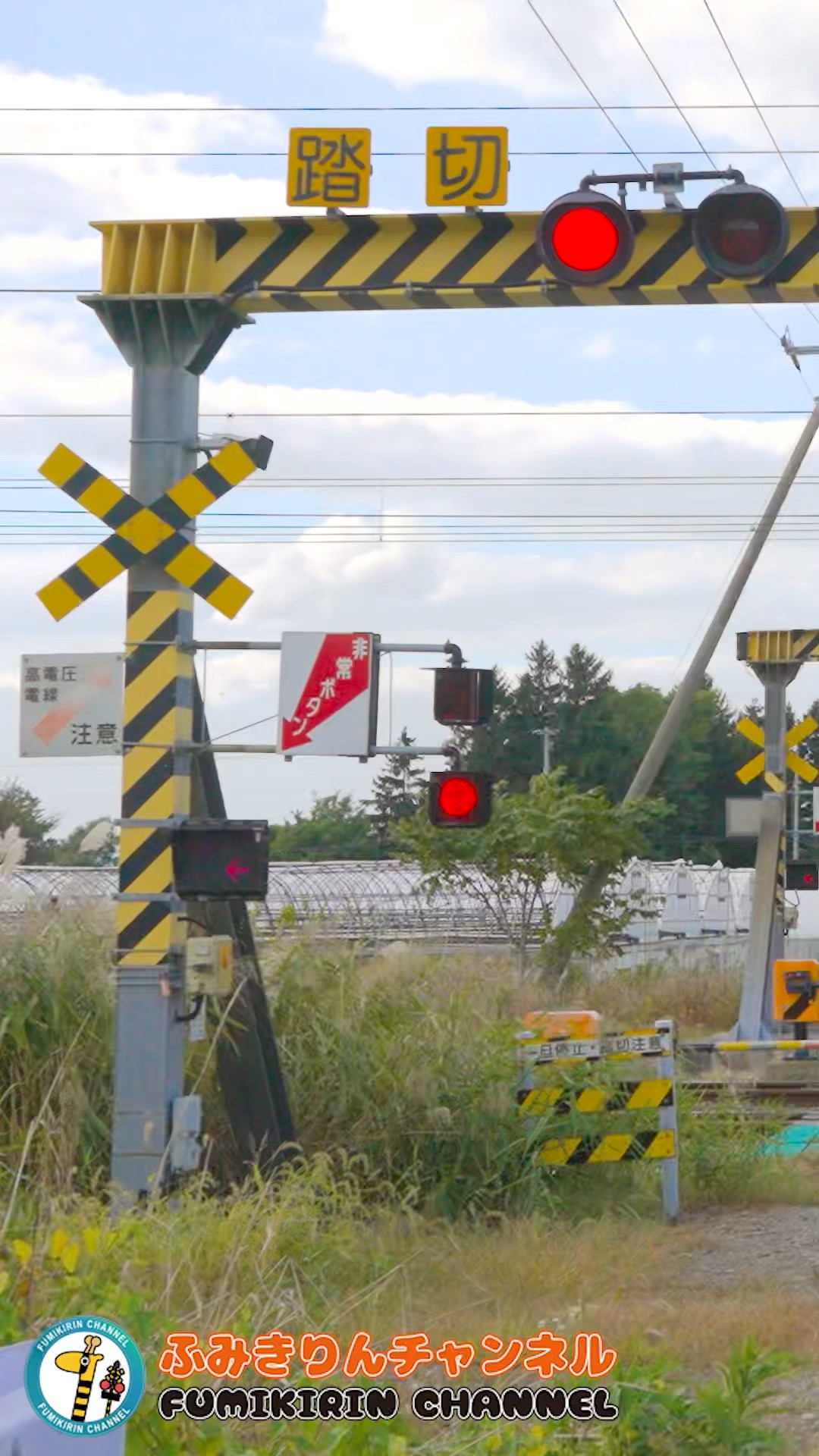 踏切 電車】なにが通るかな？？？【ふみきりショート動画204】 #shorts