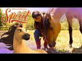 Meet the Horse that Inspired Spirit! | SPIRIT UNTAMED