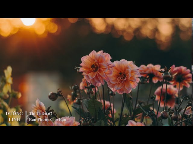 DƯỠNG LINH - Thi Thiên 67: Ban Phước Cho Bạn