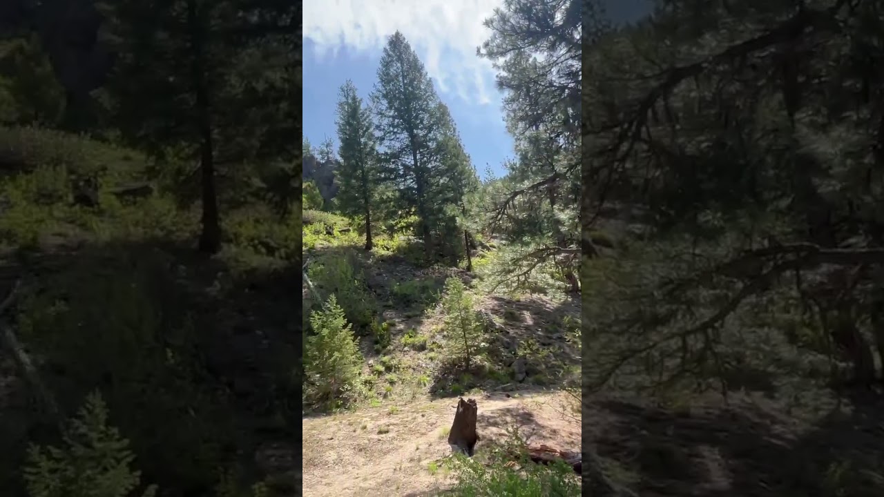 Crooked River trail outside of Idaho City.