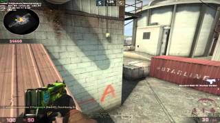 Csgo Getting Brian Killed.