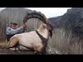 BEZOAR IBEX HUNTING TURKISH FRONTIER MUSTAFA YILMAZ