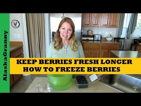 ベリーをより長く新鮮に保つ方法、ベリーを冷凍する方法