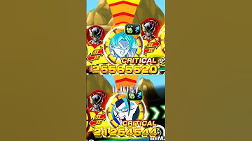 Best Combo in Dokkan Battle