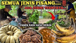 Download Lagu PANEN BERBAGAI MACAM PISANG | Membuat Bolu Pisang, Kolak dan Noga Kacang MP3