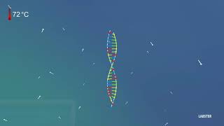 Polymerase Chain Reaction - Amplify DNA for Analysis (3D animation by Labster) screenshot 4