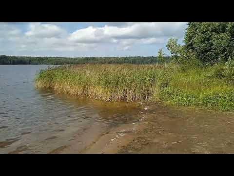 #Русалка - YouTube