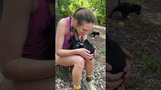 Precious Puppy Getting Pampered With Love and Kisses