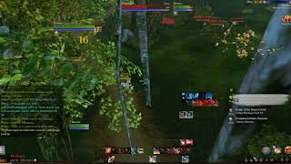 AA EU ping test form thai