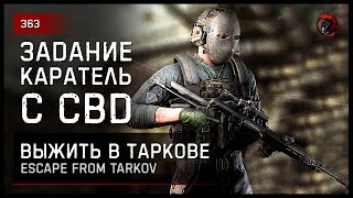 ЗАДАНИЕ "КАРАТЕЛЬ" С СВД • Escape from Tarkov №363