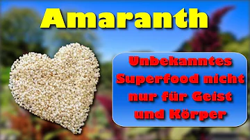 Für was ist Amaranth gut?