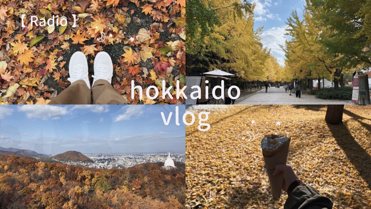 独身·非正規の11月支出 ,北海道移住2年目の秋 ,イチョウが最もキレイな日。北大金葉祭 ,中島公園〜藻岩山堪能vlog