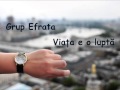 Grup Efrata - Galileea, colt de cant