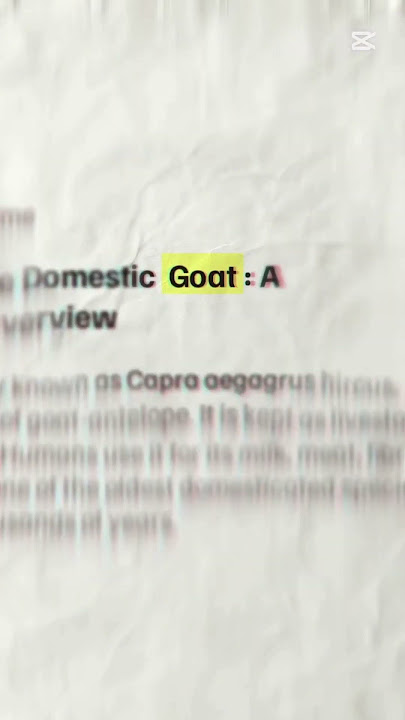 Newspaper trending edit overlay