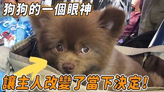 Mind 240521 Mind Puppy 02 by 心靈脈衝 320 views 1 day ago 12 minutes, 55 seconds