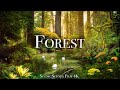 Forest in 4k  the healing power of nature sounds  forest sounds  scenic relaxation film
