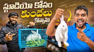 🐰 స్టూడియో కోసం కుందేలు కొన్నాము! 😍 😍  | Telugu Experiments Vlogs
