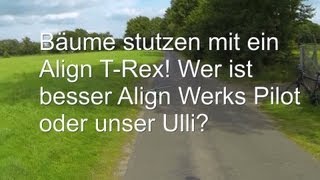 Bäume stutzen mit Align T-Rex! Wer ist besser Align Werks Pilot oder unser Ulli?