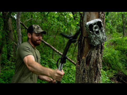 stolen-trail-camera!-scouting-trip-gone-wrong!