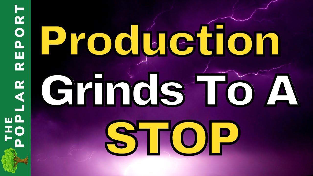 Beef Slaughters, Canned Food Production IMMINENT Shortages Updates