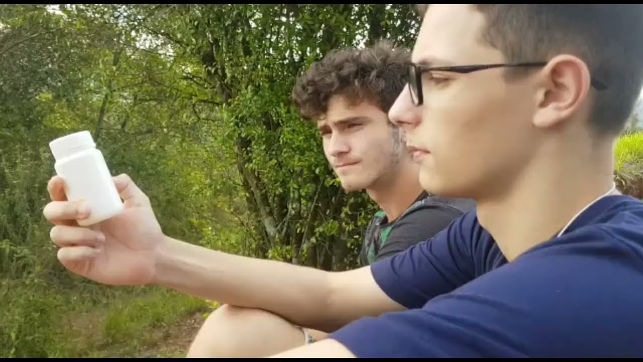 A verdade perdida