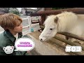 「タカシの小さな動物園」#03