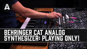 Behringer CAT Analog Synthesizer - Playing Only!
