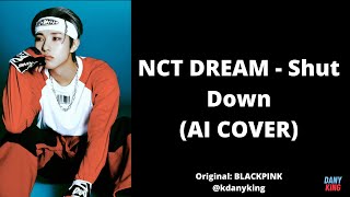 NCT DREAM - Shut Down (AI COVER) (Original: BLACKPINK) Resimi