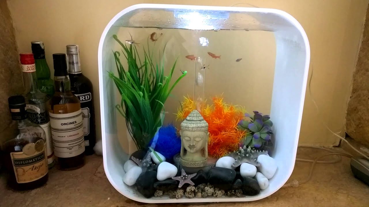 biorb life - YouTube