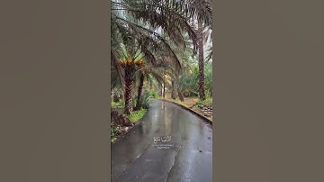 يا قَومِ إِنَّما هذِهِ الحَياةُ الدُّنيا مَتاعٌ | محمد صديق المنشاوى | سورة غافر