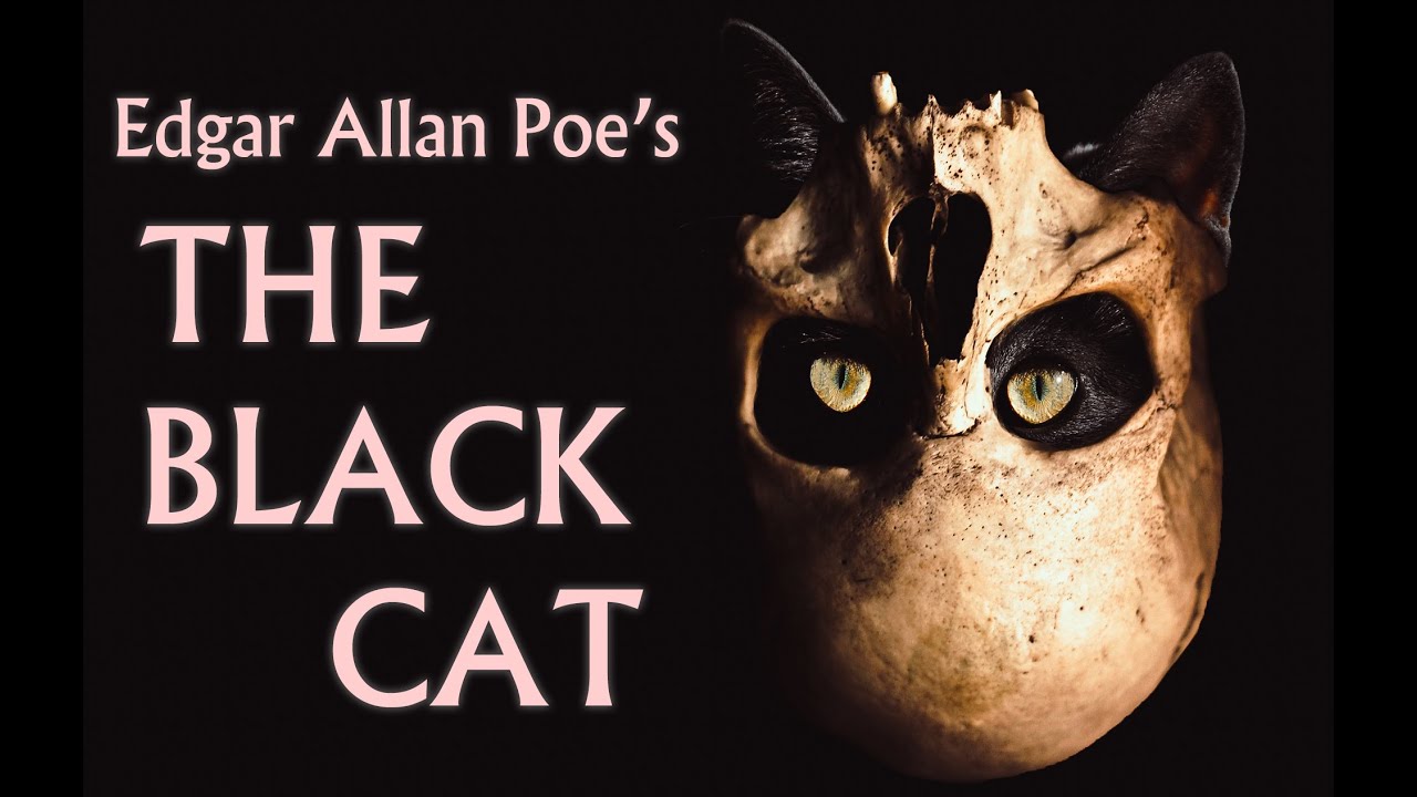 The Black Cat, by Edgar Allan Poe | Classic Horror Audiobook | Narrated