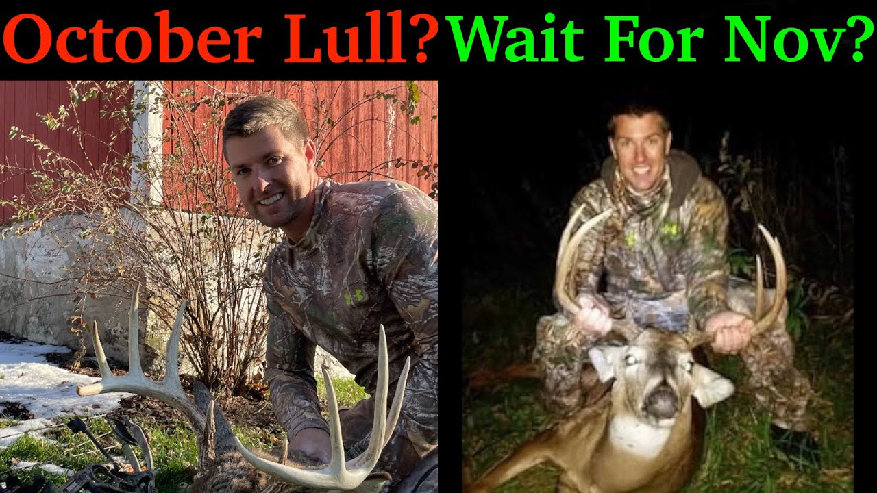 October Lull Or Big Buck Time! October Better Than November? - YouTube