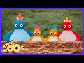 Twirlywoos - أكبر فقاعة في العالم! 🫧 | أطفال TV | WildBrain بيت اللعب