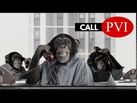 no-monkey-business-at-pvi-office-furniture