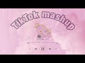 TikTok mashup *not clean*