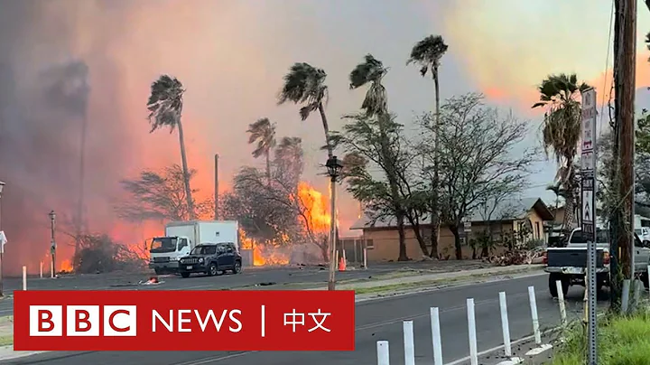 夏威夷毛伊島野火肆虐已致36人死亡 民眾跳海逃命－ BBC News 中文 - 天天要聞