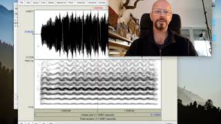 Celebrity Spectrogram Settings in Praat Profile