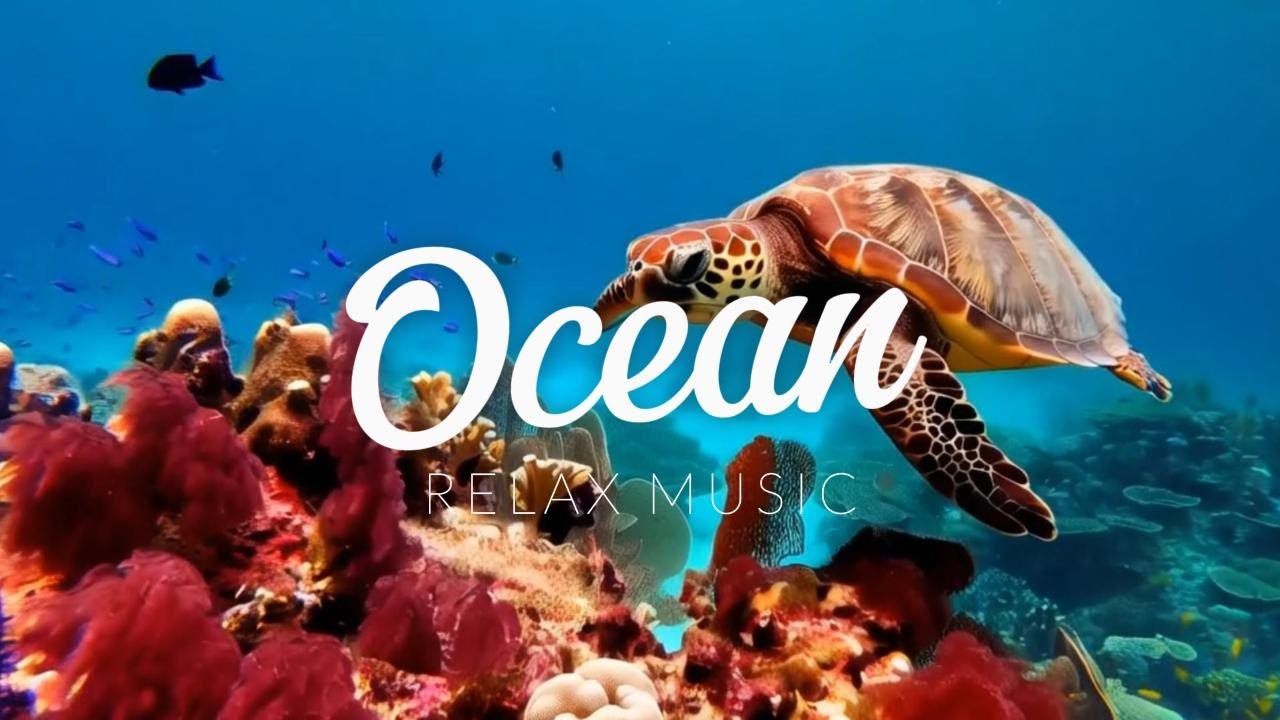 4K Relaxing Underwater Wonders | Calming Ocean Music with Sea Animals ...
