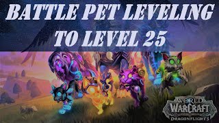 Battle Pet Leveling to Level 25 Very Fast & Easy Way | Ashlei